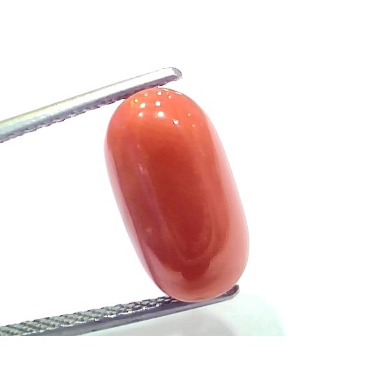 7.89 Ct 8.7 Ratti Natural Untreated Italian Red Coral Moonga Gems