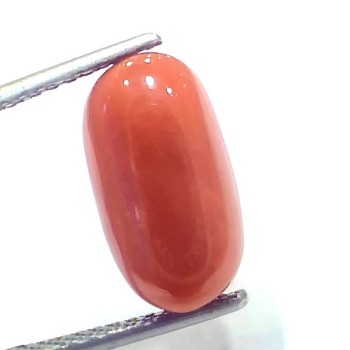 7.92 Ct 8.7 Ratti Natural Untreated Italian Red Coral Moonga Gems