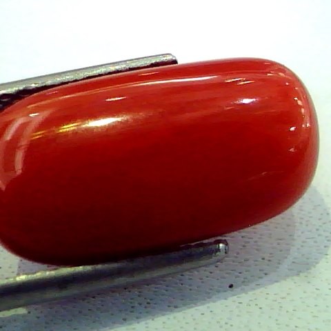 8.16 Ct Premium Natural Italian Red Coral,Real Moonga Gemstone AAA