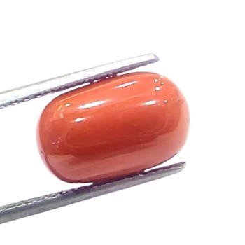 8.19 Ct 9.05 Ratti Natural Untreated Italian Red Coral Moonga Gems 8.19 Ct 9.05 Ratti Natural Untreated Italian Red Coral Moonga Gems