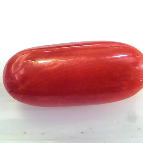 8.19 Ct Untreated Natural Premium Italian Red Coral Gemstone AAA