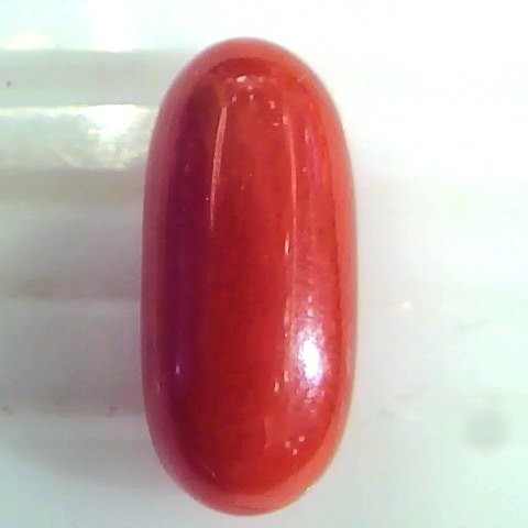 8.19 Ct Untreated Natural Premium Italian Red Coral Gemstone AAA