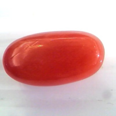 8.18 Ct Untreated Natural Premium Italian Red Coral Gemstone AAA