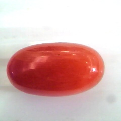 8.18 Ct Untreated Natural Premium Italian Red Coral Gemstone AAA
