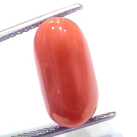 8.49 Ct 9.4 Ratti Natural Untreated Italian Red Coral Moonga Gems