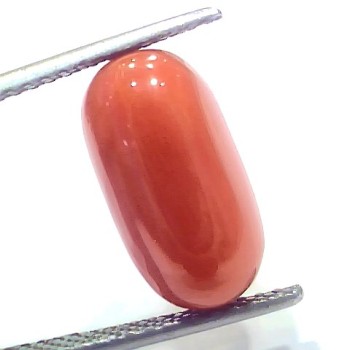 8.49 Ct 9.4 Ratti Natural Untreated Italian Red Coral Moonga Gems