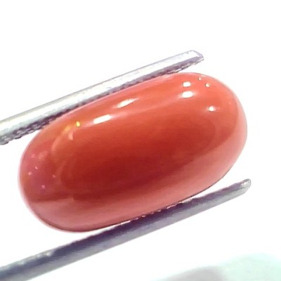 8.61 Ct 9.5 Ratti Natural Untreated Italian Red Coral Moonga Gems