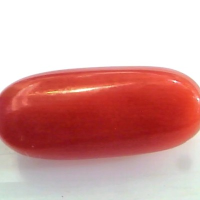 8.66 Ct Untreated Natural Premium Italian Red Coral Gemstone AAA