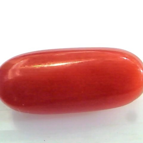 8.66 Ct Untreated Natural Premium Italian Red Coral Gemstone AAA