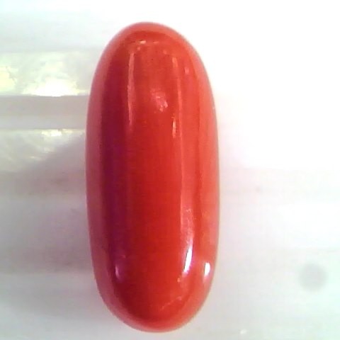 8.66 Ct Untreated Natural Premium Italian Red Coral Gemstone AAA