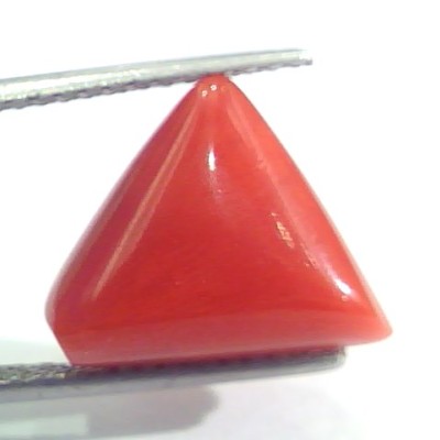 9.01 Ct 15 Ratti Natural Italian Triangle Red Coral Moonga Gemstone