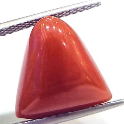 9.13 Ct 15.1 Ratti Natural Italian Triangle Red Coral Moonga Gemstone