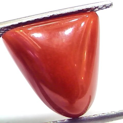 9.13 Ct 15.1 Ratti Natural Italian Triangle Red Coral Moonga Gemstone