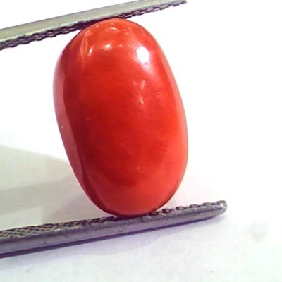 9.11 Carat Natural Italian Red Coral Moonga Gemstone AAAA