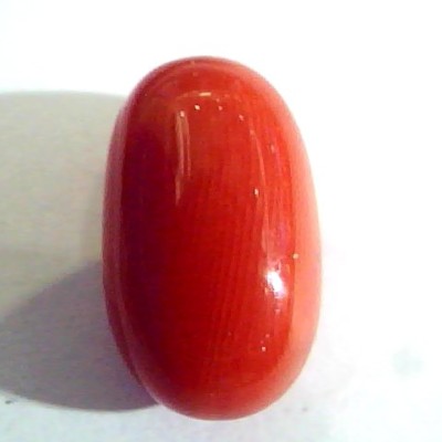 9.26 Ct Untreated Natural Premium Italian Red Coral AAAAA