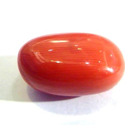 9.26 Ct Untreated Natural Premium Italian Red Coral AAAAA