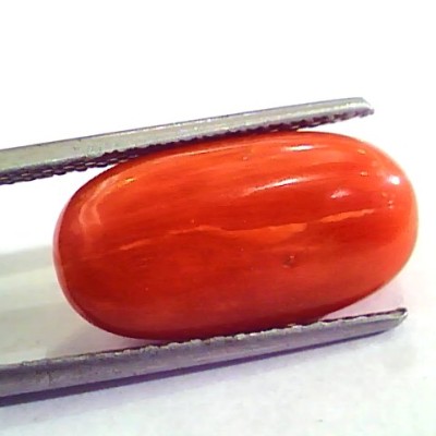 9.15 Carat Natural Italian Red Coral Moonga Gemstone AAAA