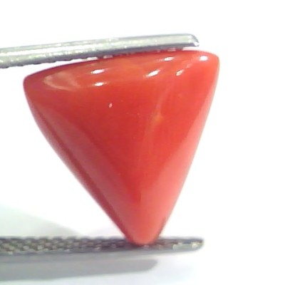 9.39 Ct 15.6 Ratti Natural Italian Triangle Red Coral Moonga Gemstone
