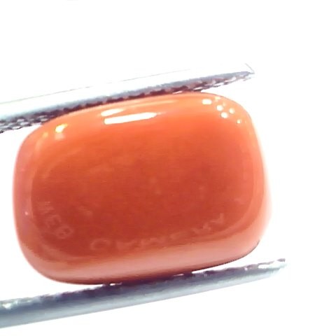 9.34 Ct 10.37 Ratti Natural Italian Red Coral Moonga Gemstone
