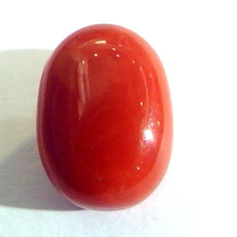 9.50 Ct Untreated Natural Premium Italian Red Coral AAAAAA