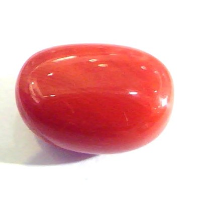 9.50 Ct Untreated Natural Premium Italian Red Coral AAAAAA