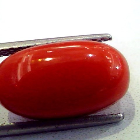 9.54 Ct Premium Natural Italian Red Coral,Real Moonga Gemstone AAA