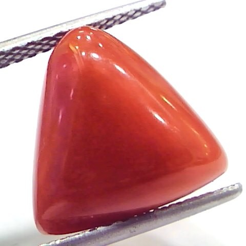 9.65 Ct 16 Ratti Natural Italian Triangle Red Coral Moonga Gemstone