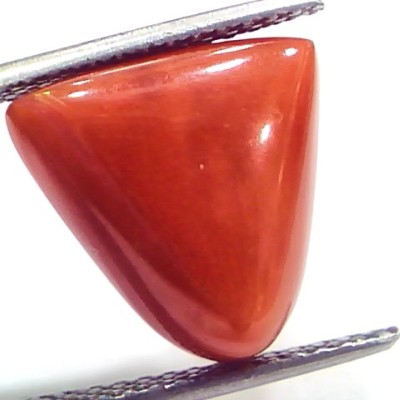 9.65 Ct 16 Ratti Natural Italian Triangle Red Coral Moonga Gemstone