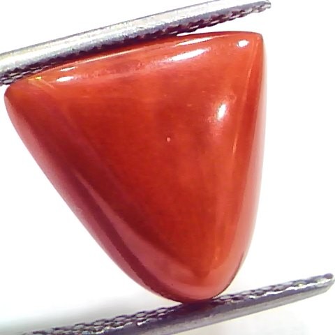 9.65 Ct 16 Ratti Natural Italian Triangle Red Coral Moonga Gemstone
