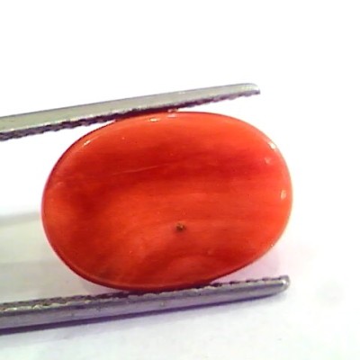 9.64 Ct 10.71 Ratti Natural Italian Red Coral Moonga Gemstone AAAA