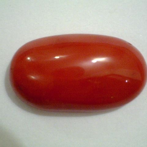 Huge 16.82 Ct Natural Red Italian Red Coral,Real Moonga Gemstone Huge 16.82 Ct Natural Red Italian Red Coral,Real Moonga Gemstone