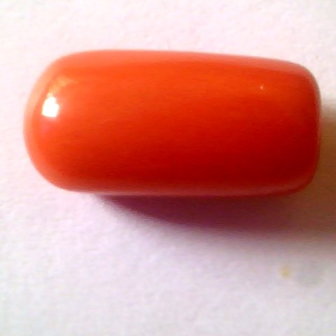 Huge 10.06 Ct Untreated Premium Natural Italian Red Coral,Moonga