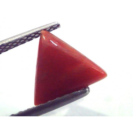 1.71 Carat Natural Italian Triangle Red Coral Moonga Gemstone