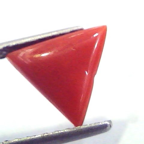 1.81 Carat Natural Italian Triangle Red Coral Moonga Gemstone