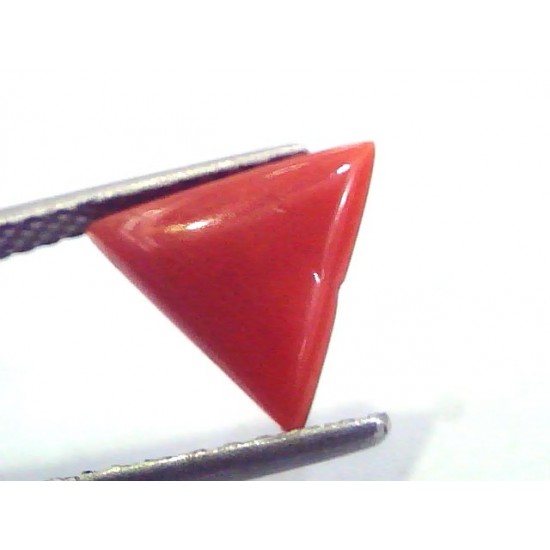 1.81 Carat Natural Italian Triangle Red Coral Moonga Gemstone