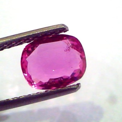 1.87 Ct 3.25 Rt Certified Unheated Untreated Natural Madagaskar Ruby