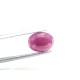 2.04 Ct Certified Unheated Untreated Natural New Burma Ruby