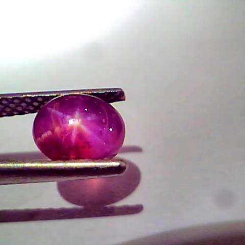 3.05 Ct Certified Unheated Untreated Natural Ceylon Star Ruby RARE