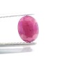 3.11 Ct Certified Unheated Untreated Natural New Burma Ruby