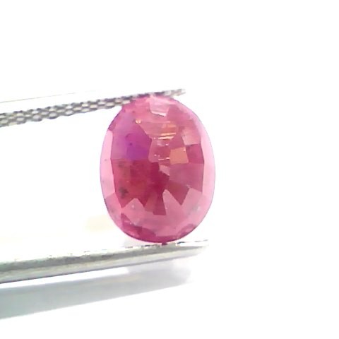 3.11 Ct Certified Unheated Untreated Natural New Burma Ruby