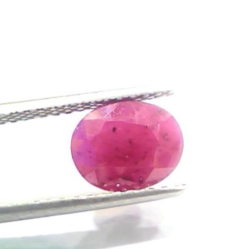 3.31 Ct Certified Unheated Untreated Natural New Burma Ruby