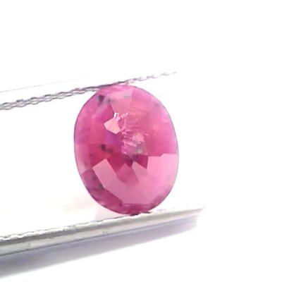 3.40 Ct Certified Unheated Untreated Natural New Burma Ruby