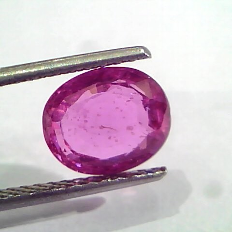 3.60 Ct GII Certified Unheated Untreated Natural Madagaskar Ruby
