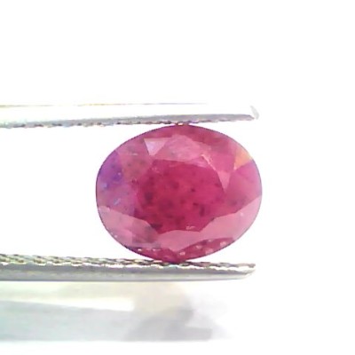 3.75 Ct Certified Unheated Untreated Natural New Burma Ruby
