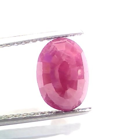 3.91 Ct Certified Unheated Untreated Natural New Burma Ruby