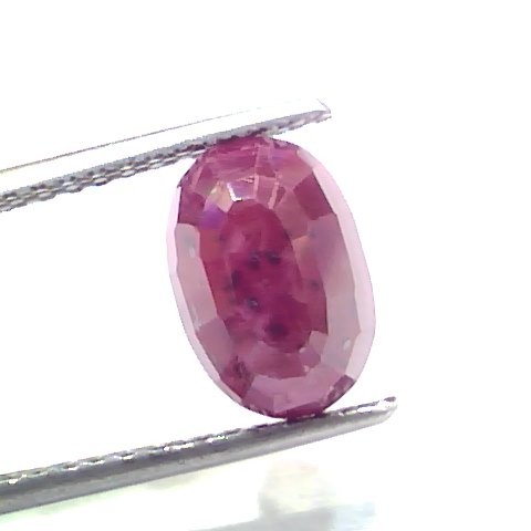 4.17 Ct Certified Unheated Untreated Natural New Burma Ruby