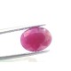 4.99 Ct Certified Unheated Untreated Natural New Burma Ruby