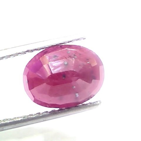 4.99 Ct Certified Unheated Untreated Natural New Burma Ruby