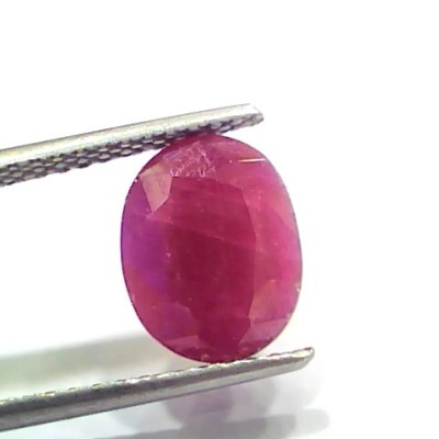 5.25 Ct Certified Unheated Untreated Natural New Burma Ruby
