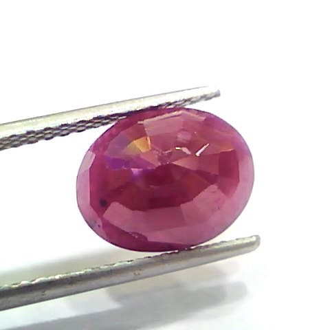 5.29 Ct Certified Unheated Untreated Natural New Burma Ruby